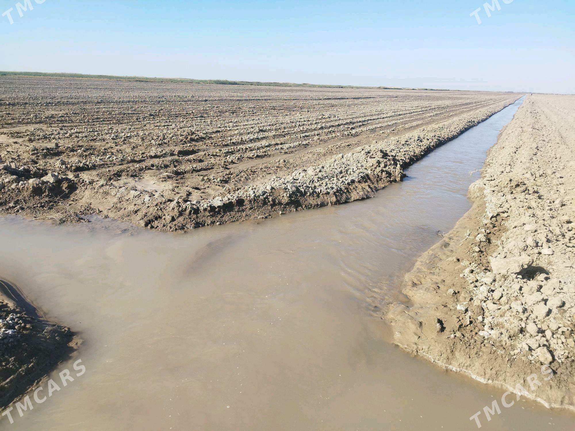 Işgär gerek - Tejen - img 2