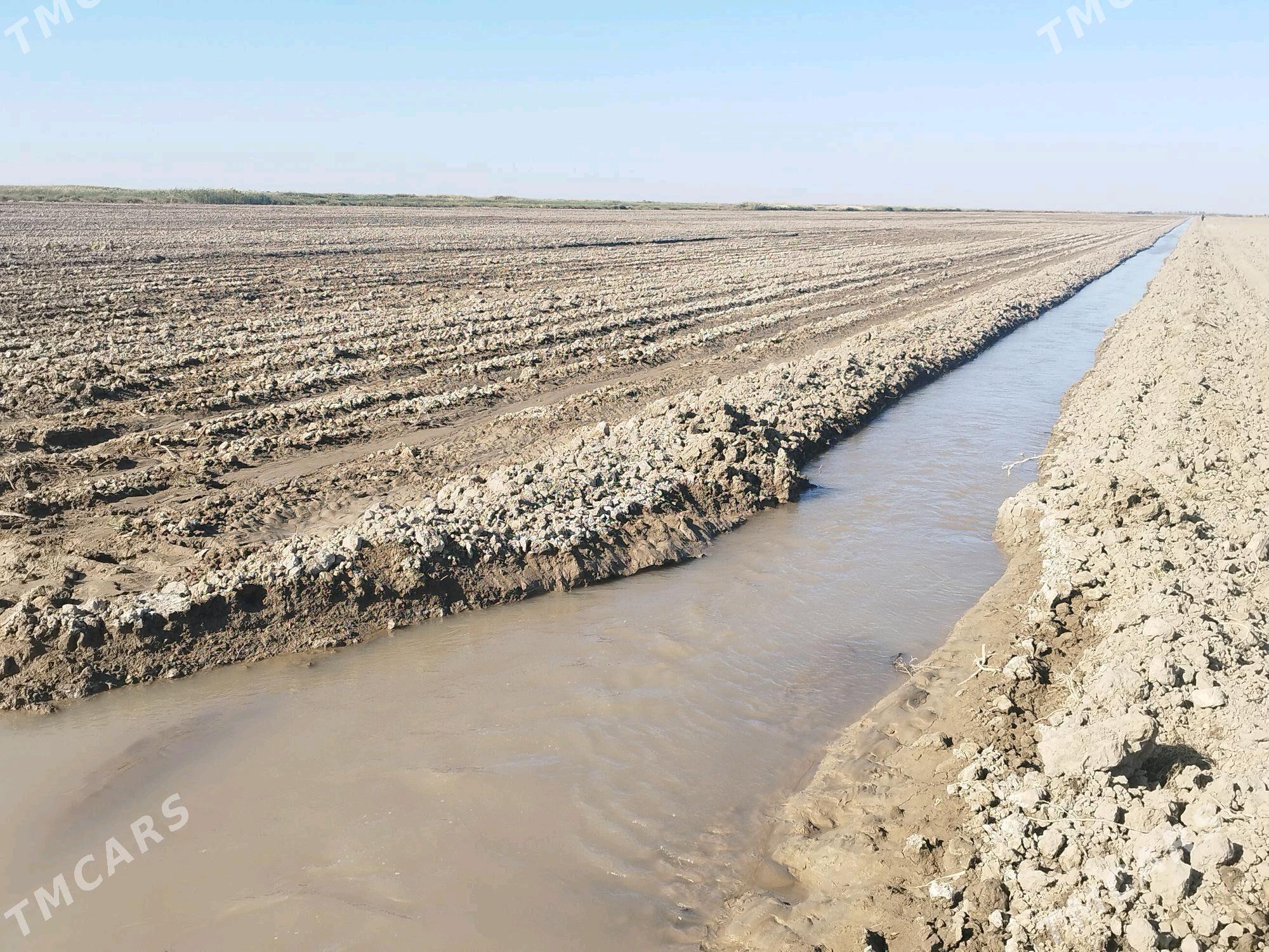 Işgär gerek - Tejen - img 3