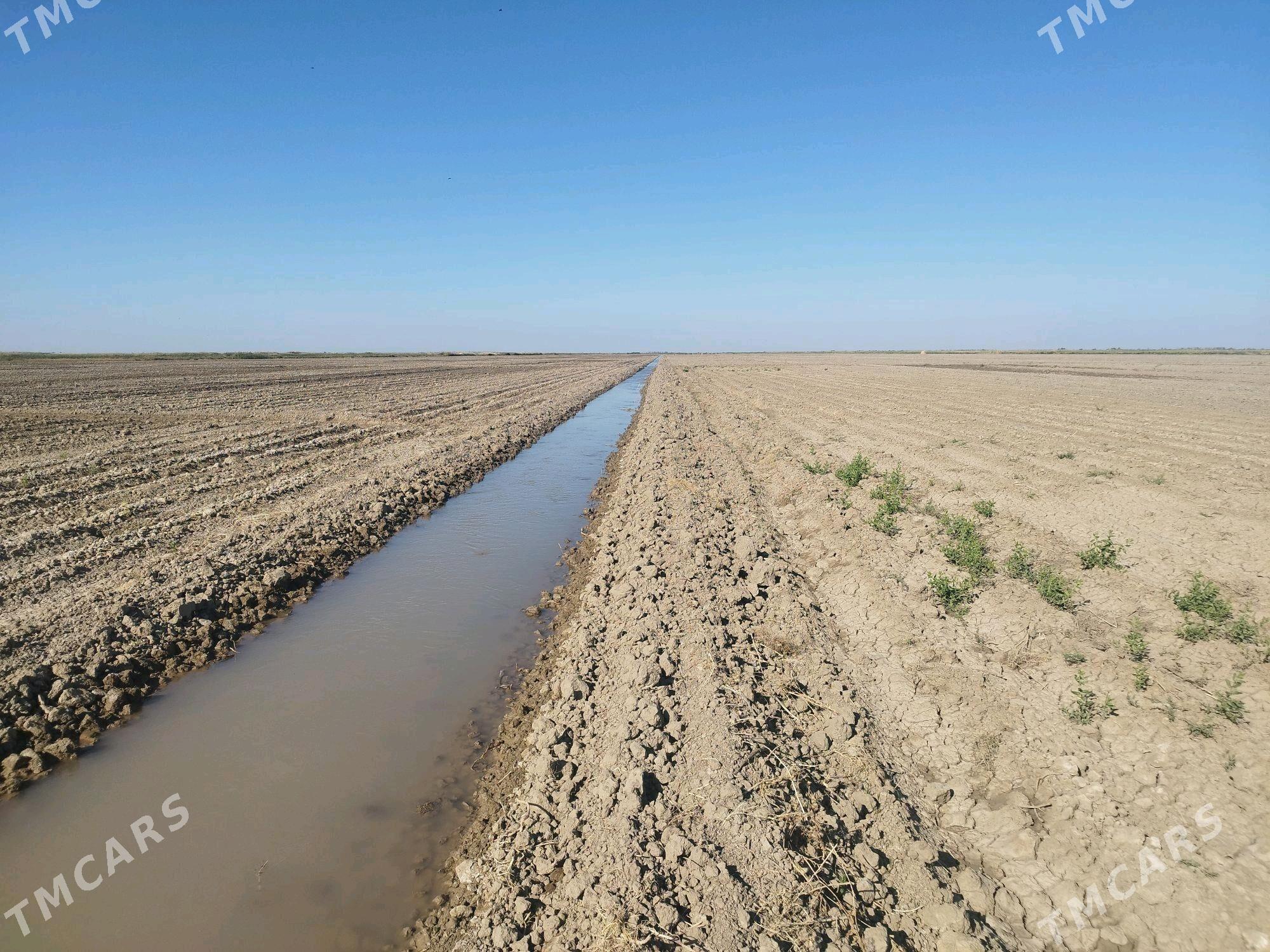Işgär gerek - Tejen - img 4