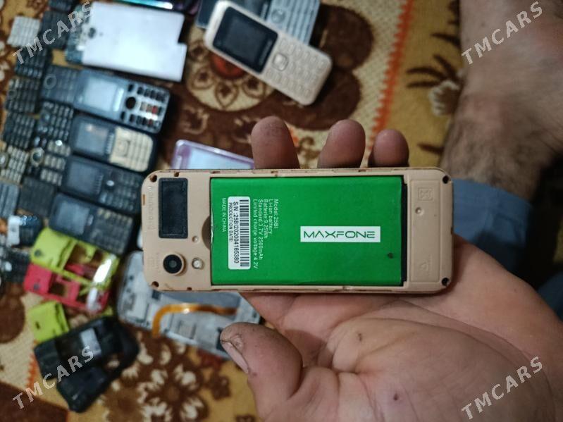 zapcas - Daşoguz - img 5