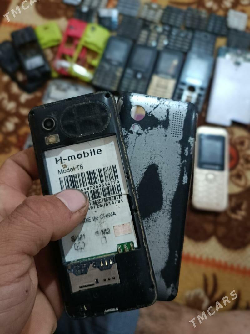 zapcas - Daşoguz - img 6