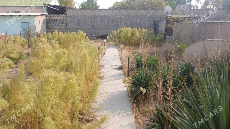 SAGLYK DACA satlyk jay - Ашхабад - img 1