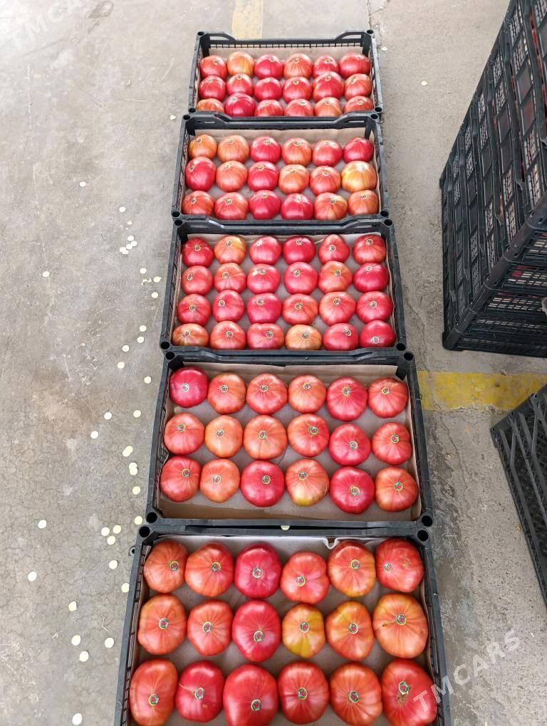 işçi - Ак-Бугдайский этрап - img 2