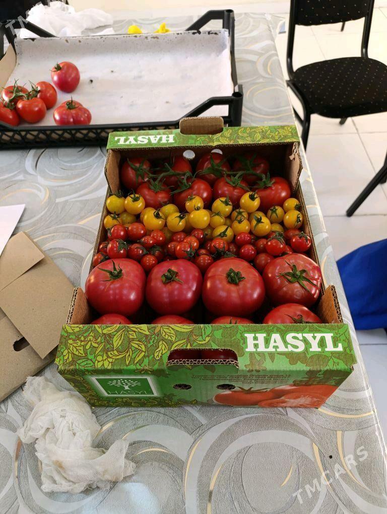 işçi - Ак-Бугдайский этрап - img 5