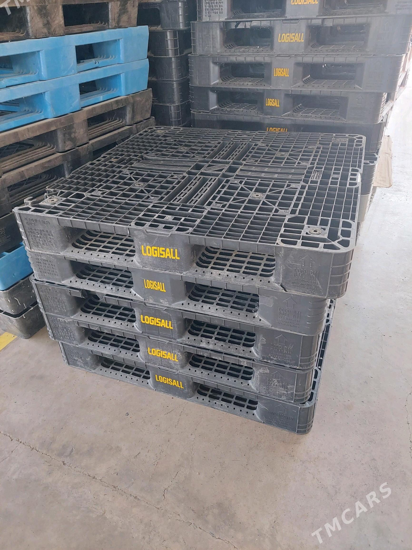 paddo - Täze zaman - img 1