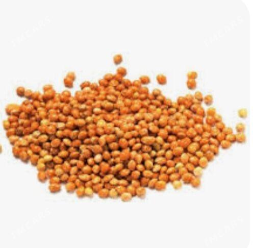 Gus imleri kunjuleri - Aşgabat - img 1