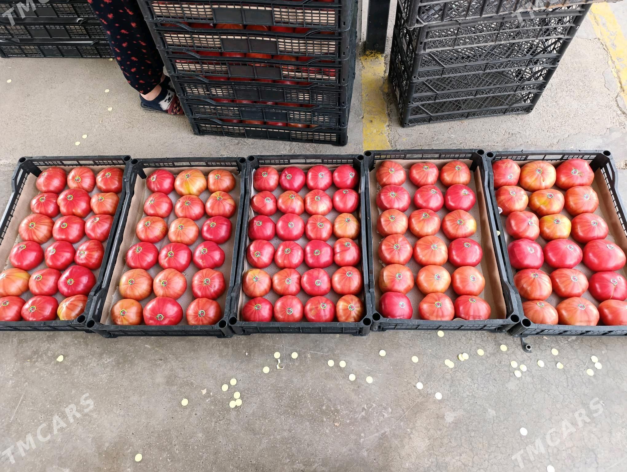 işçi - Ак-Бугдайский этрап - img 7