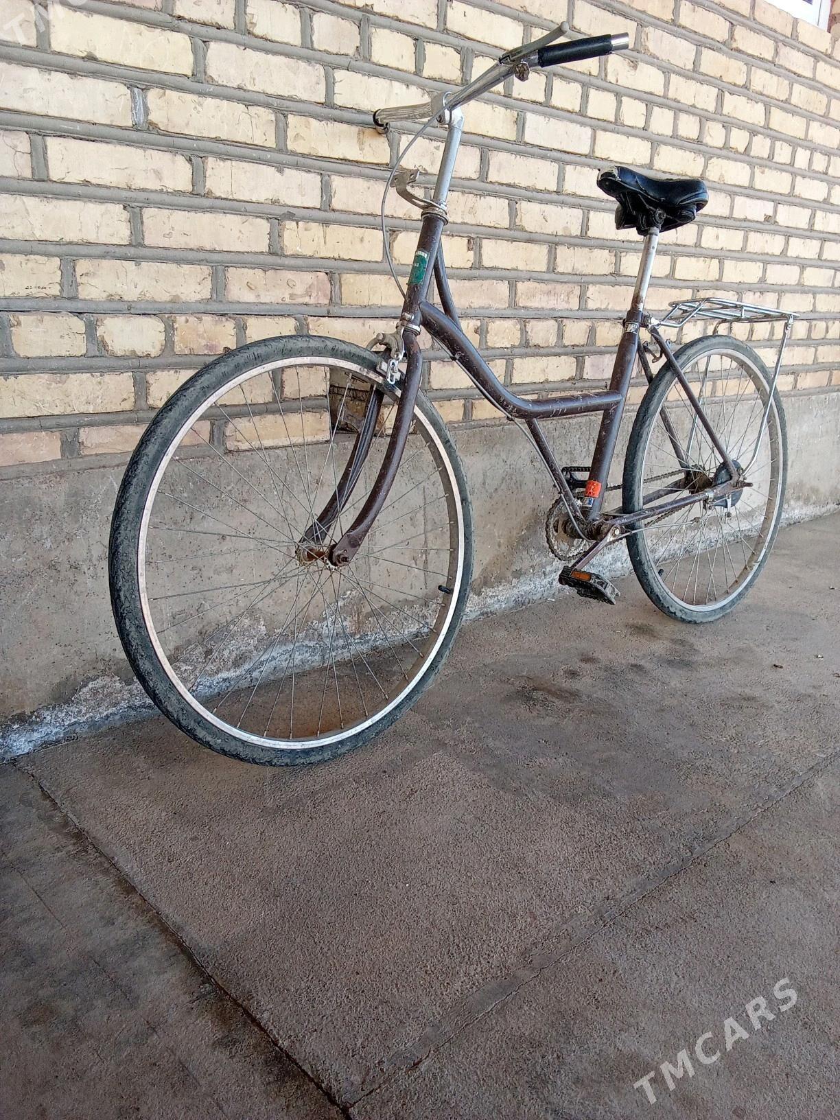 Tigir - Babadaýhan - img 2