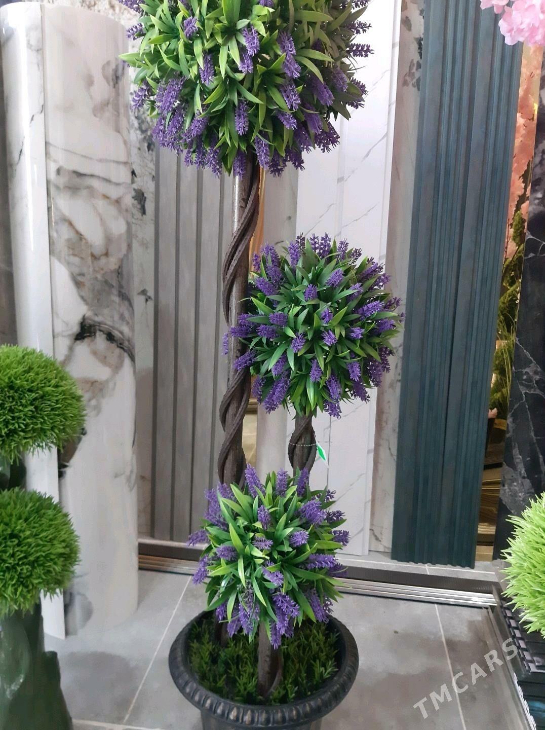 baglar - Туркменбаши - img 1