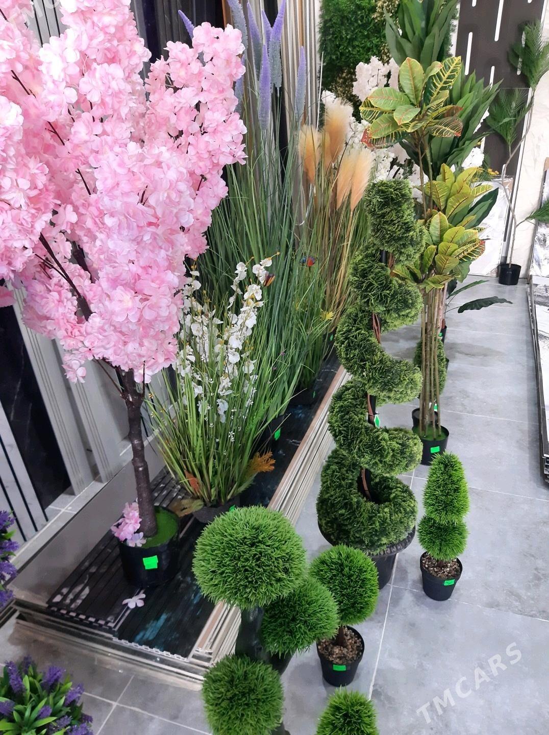 baglar - Туркменбаши - img 2