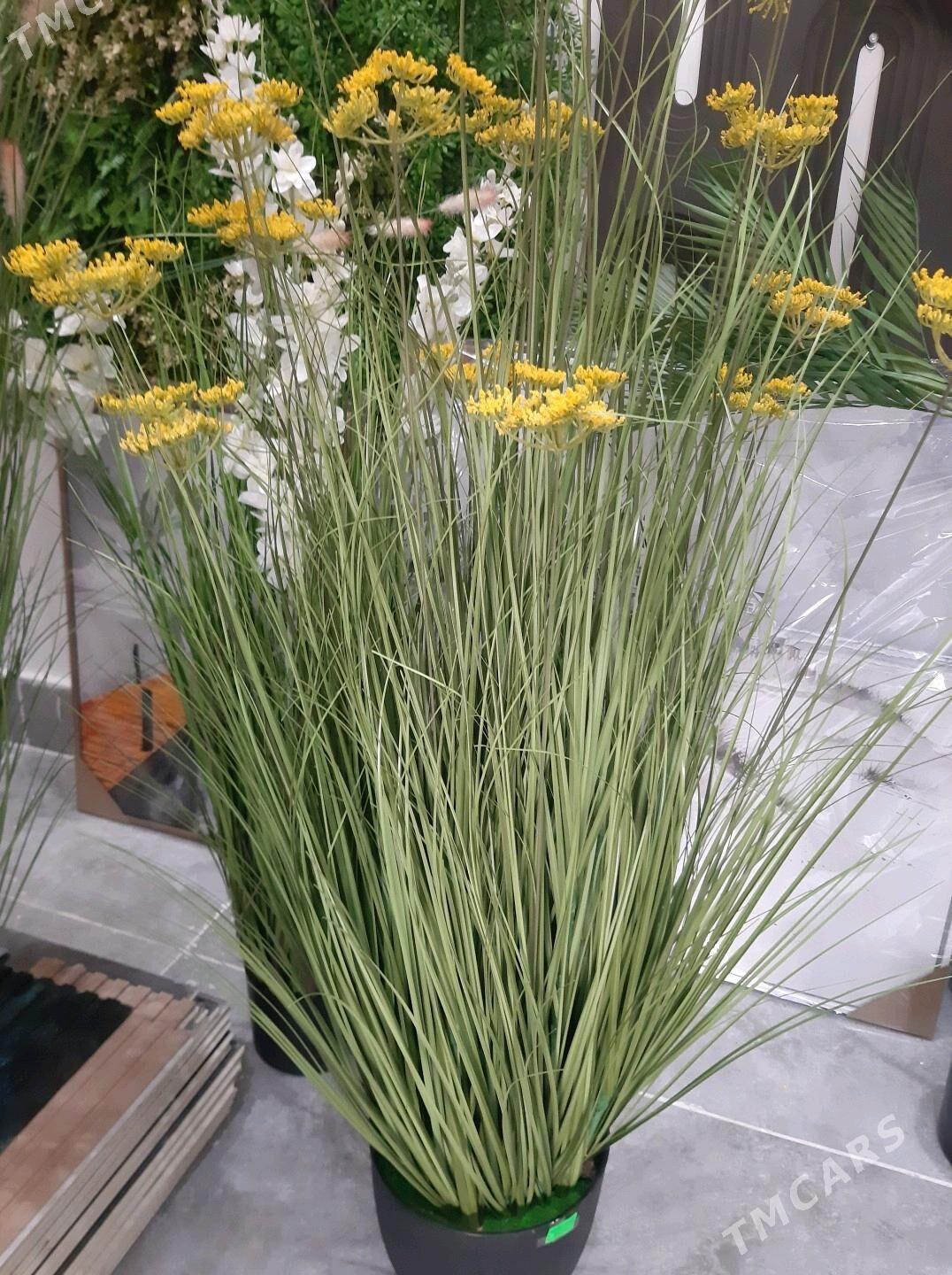 baglar - Туркменбаши - img 3