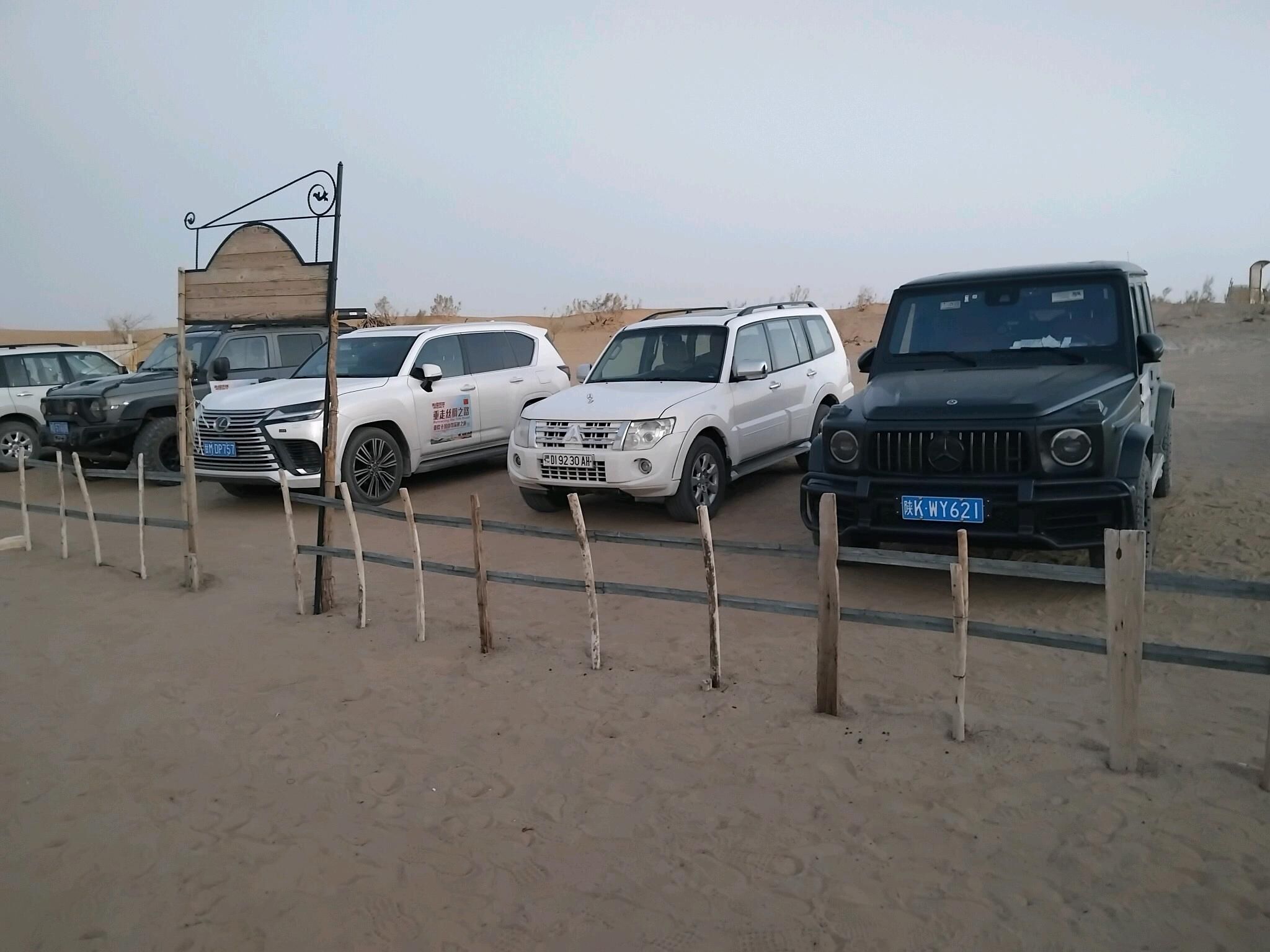 gid terjimeçi - Ашхабад - img 5