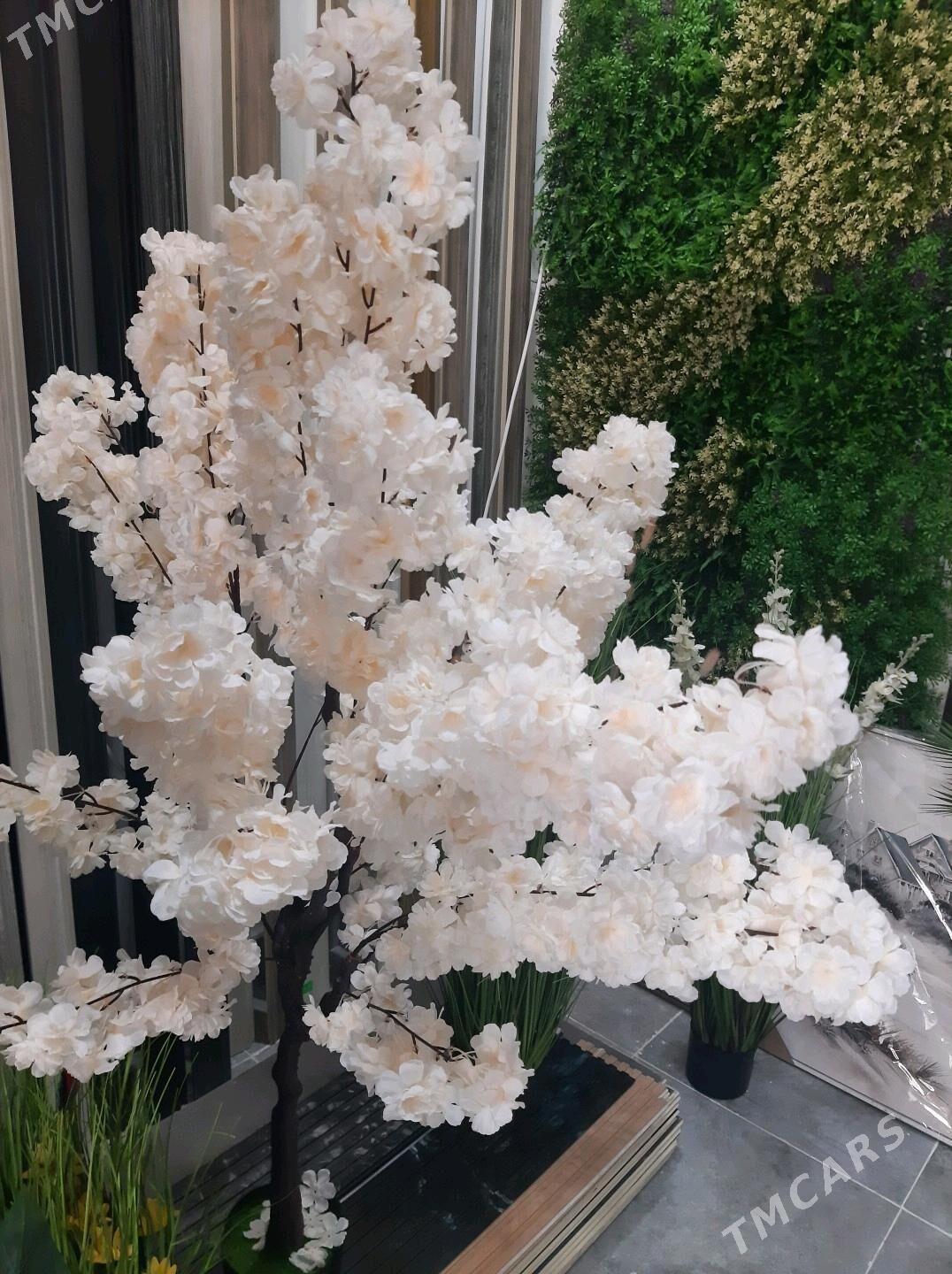 baglar - Туркменбаши - img 4