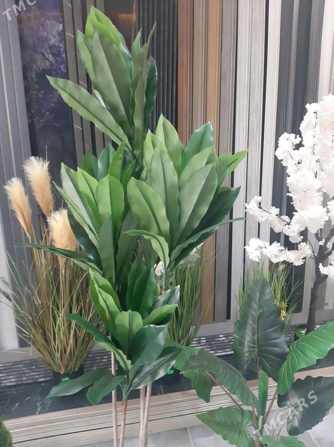 baglar - Туркменбаши - img 5