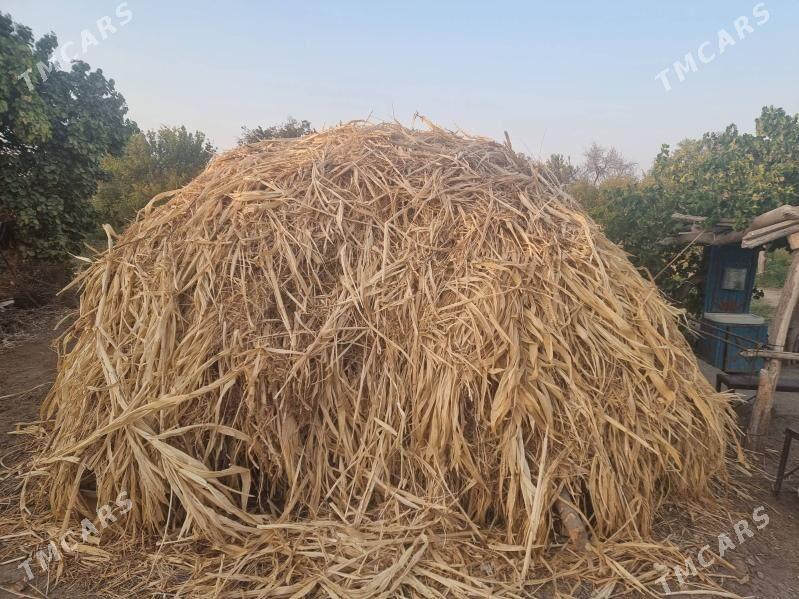 меке яш йорынжа - Дянев - img 2