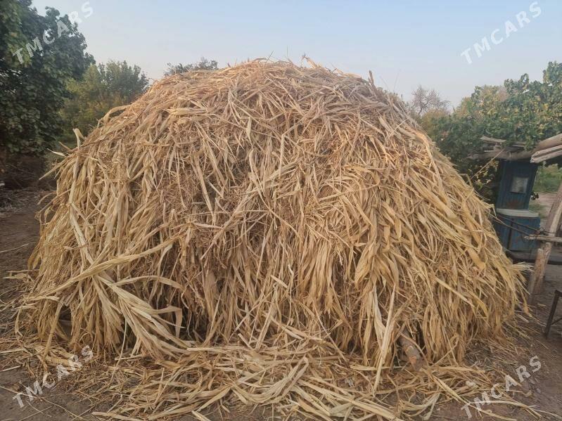 меке яш йорынжа - Дянев - img 6