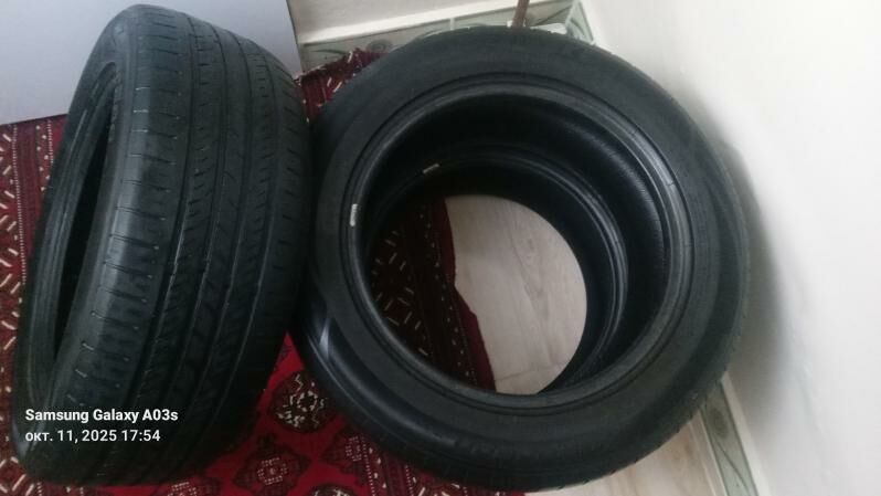 pakrişka 700 TMT - Ашхабад - img 1