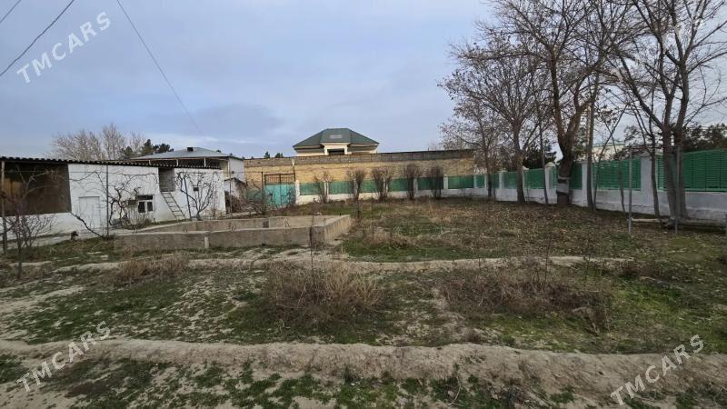 SATLYK JAŸ - Änew - img 2