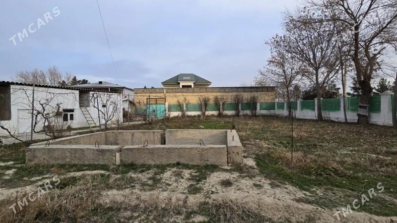 SATLYK JAŸ - Änew - img 1