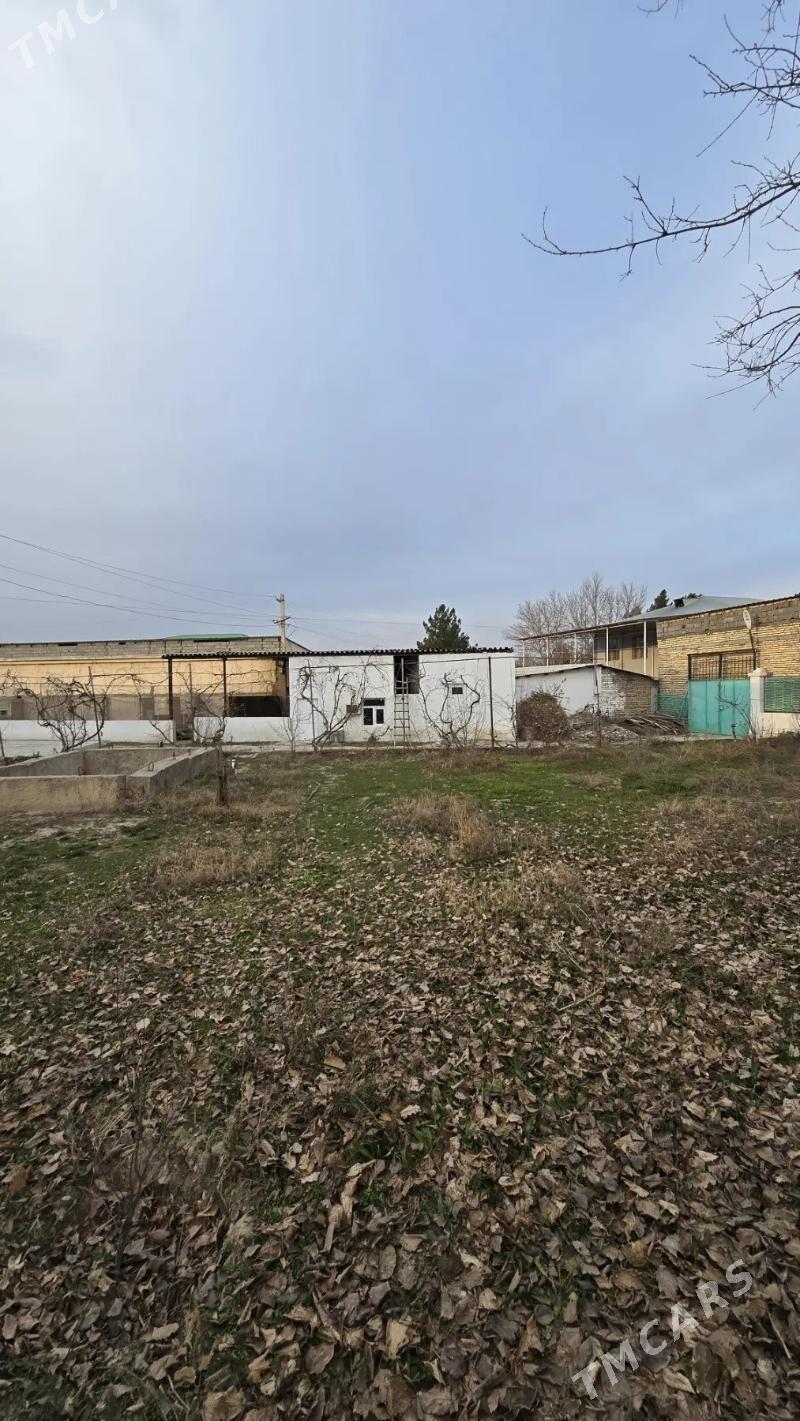 SATLYK JAŸ - Änew - img 3