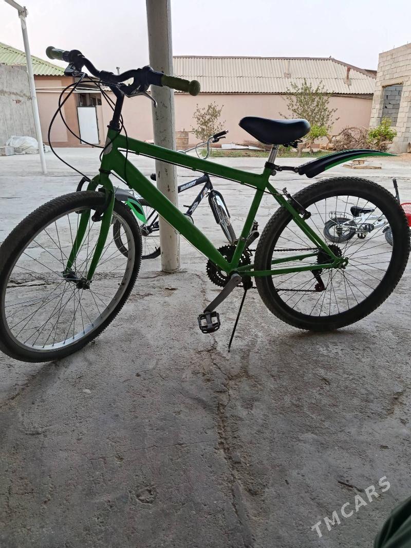 Tigir - Ак-Бугдайский этрап - img 2