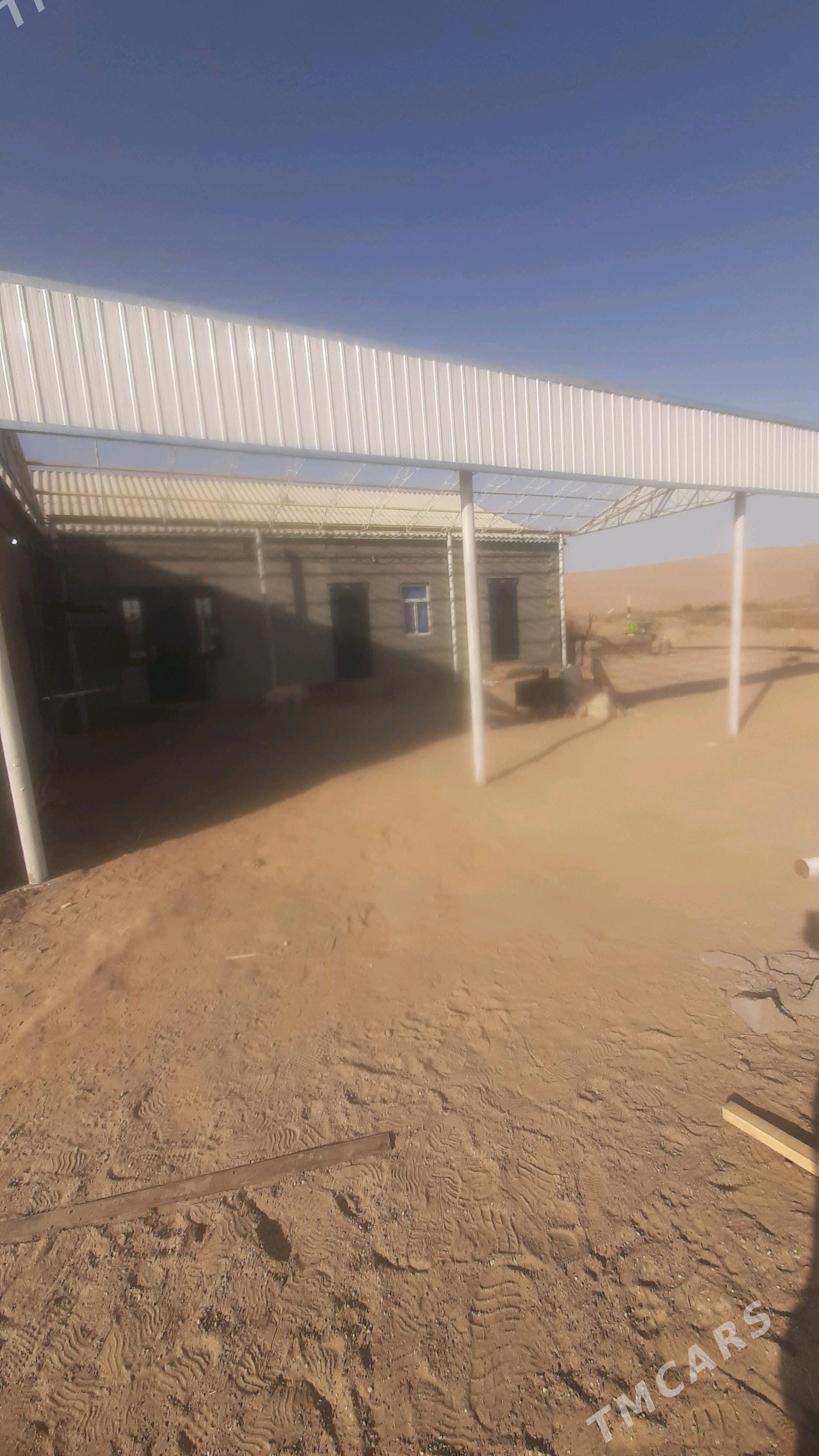 usa - Çärjew - img 2