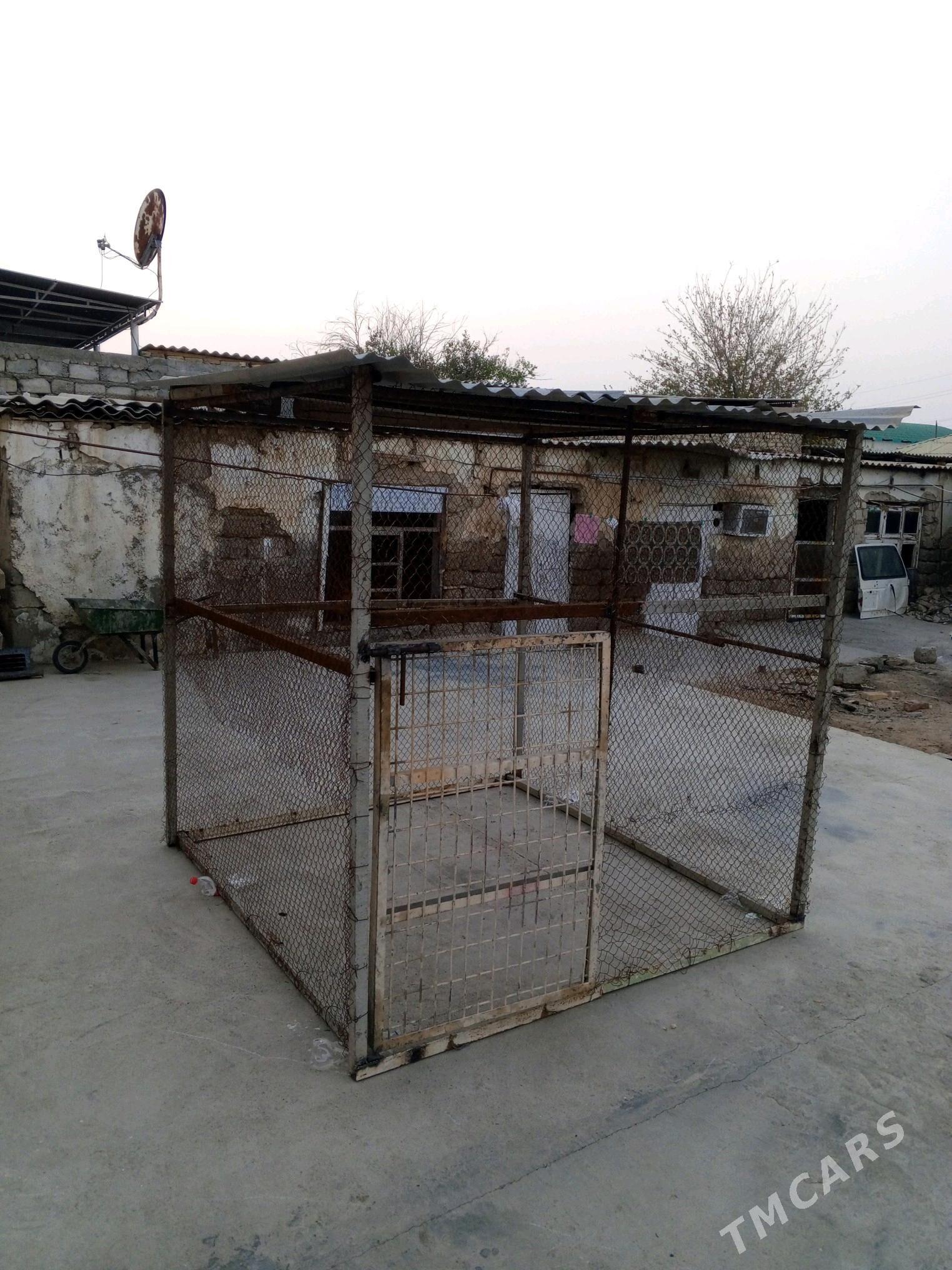 Ketek - Aşgabat - img 1