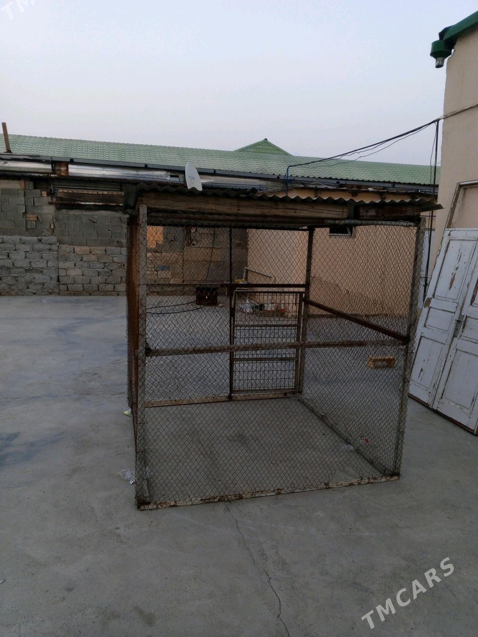 Ketek - Aşgabat - img 2