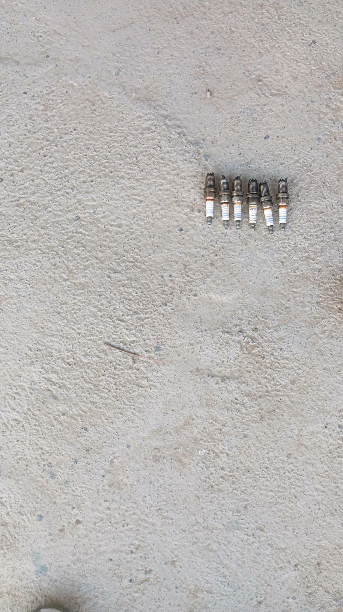 svej 30 TMT - Änew - img 1