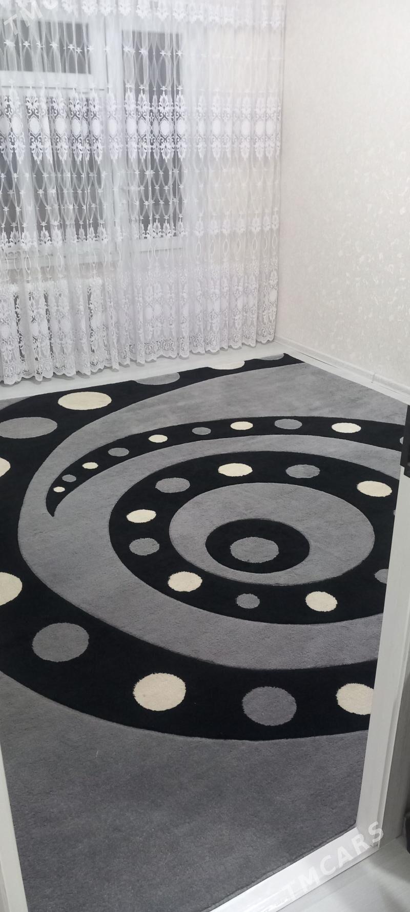 Haly - Daşoguz - img 2