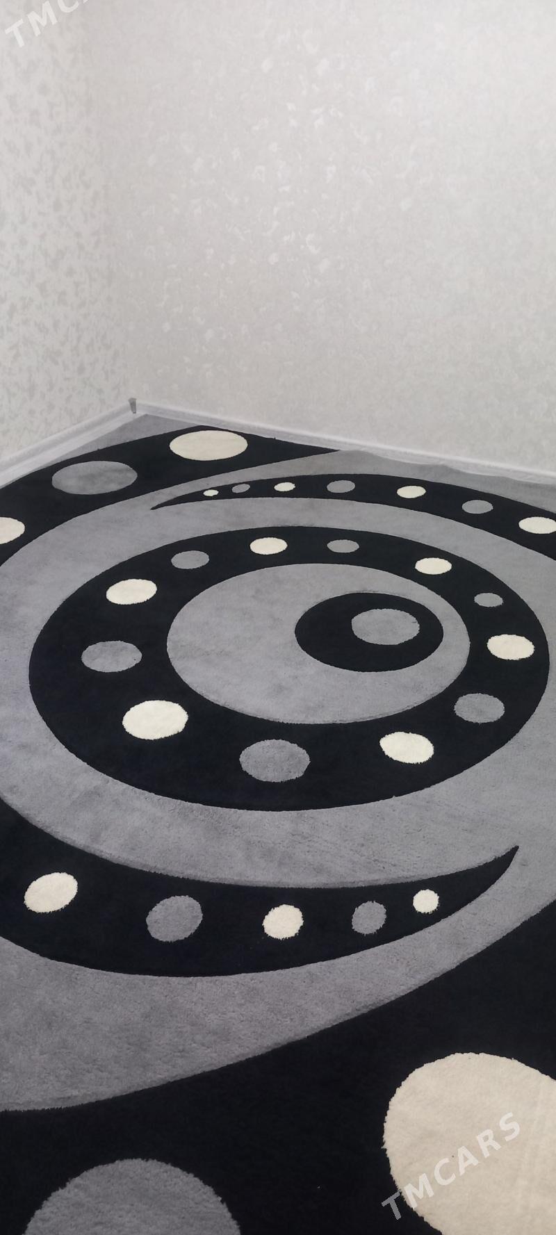 Haly - Daşoguz - img 4