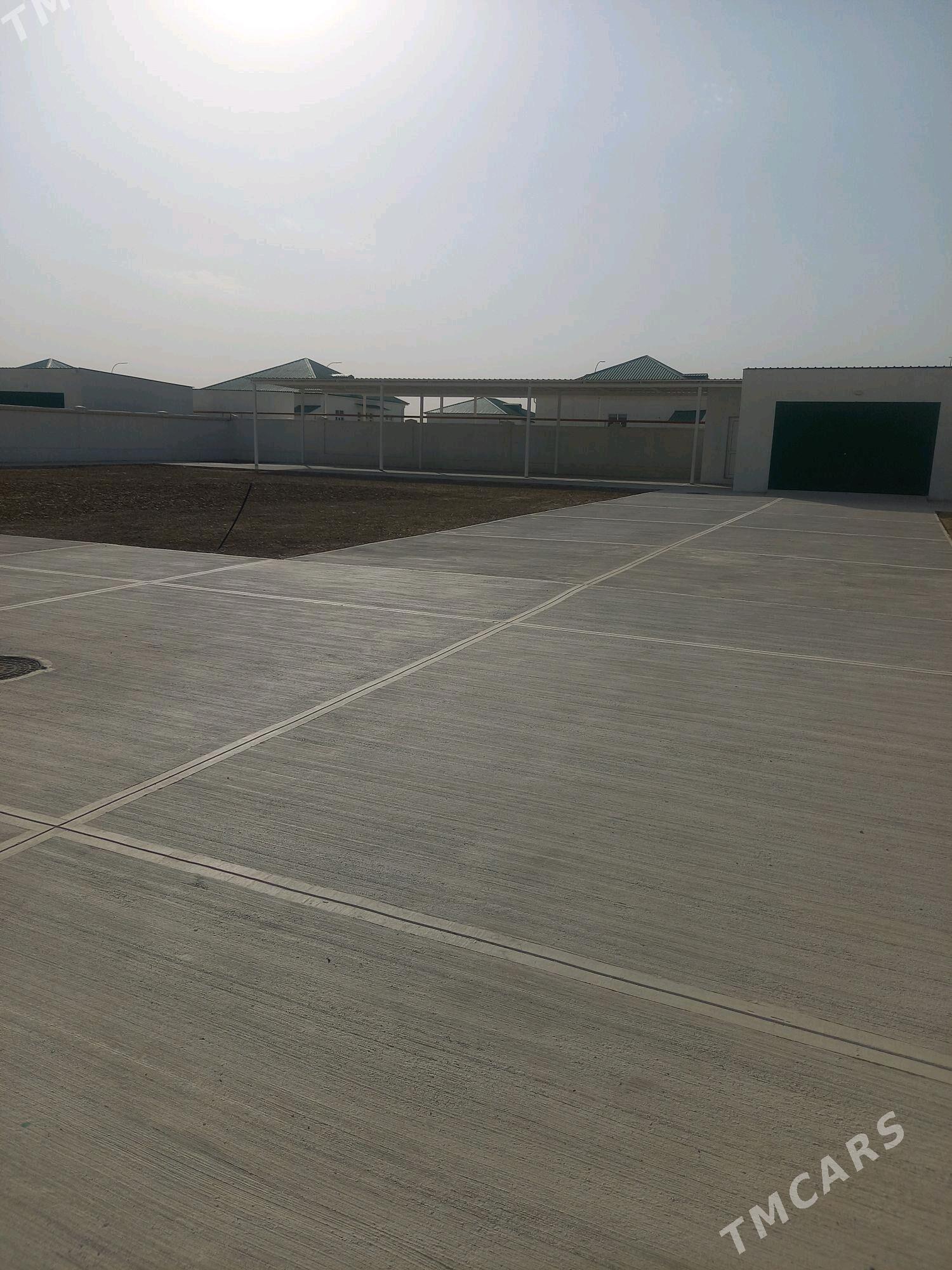 eyesindem arenda - Änew - img 2