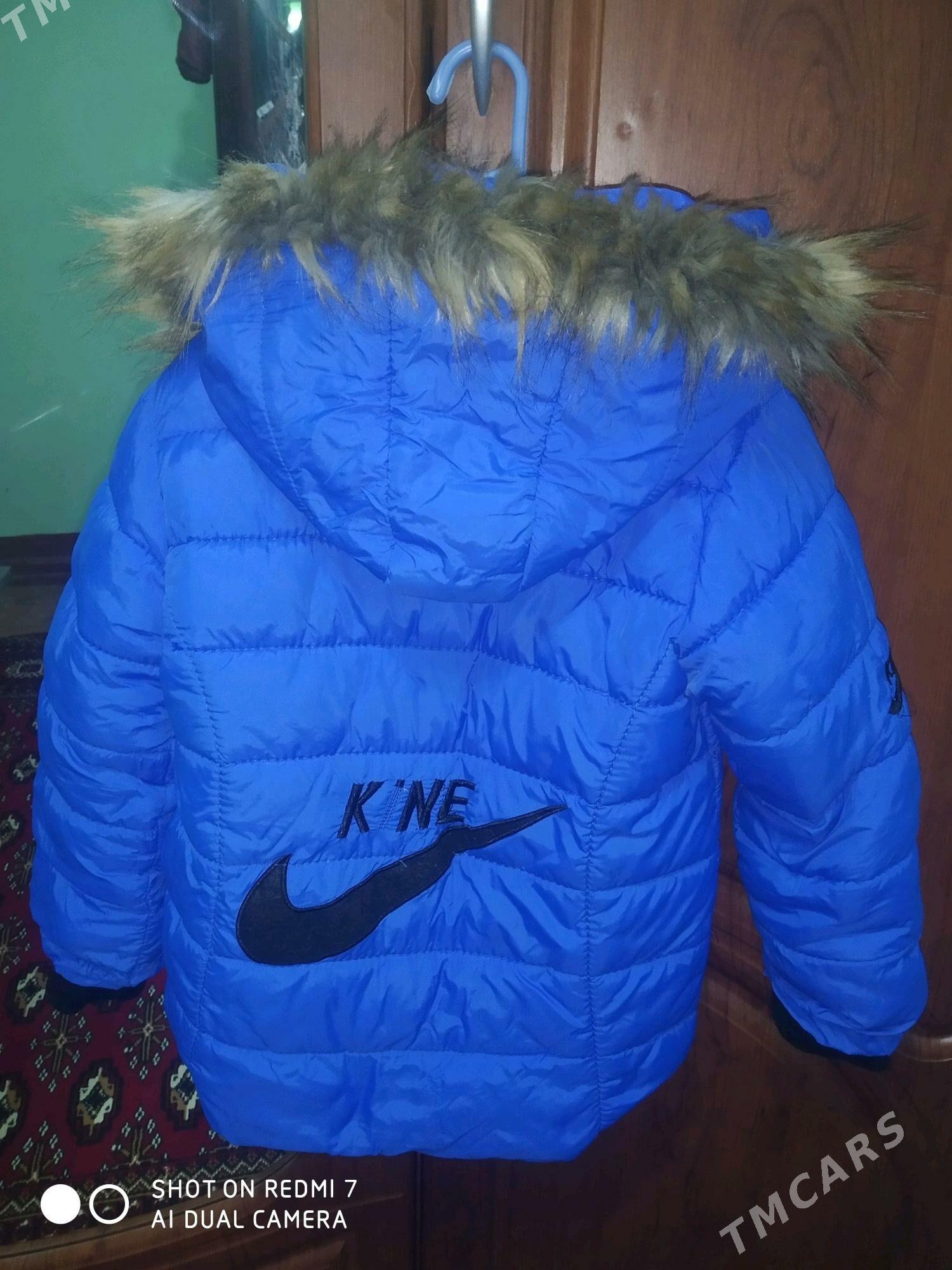 kurtga tazeje - Бекреве - img 1