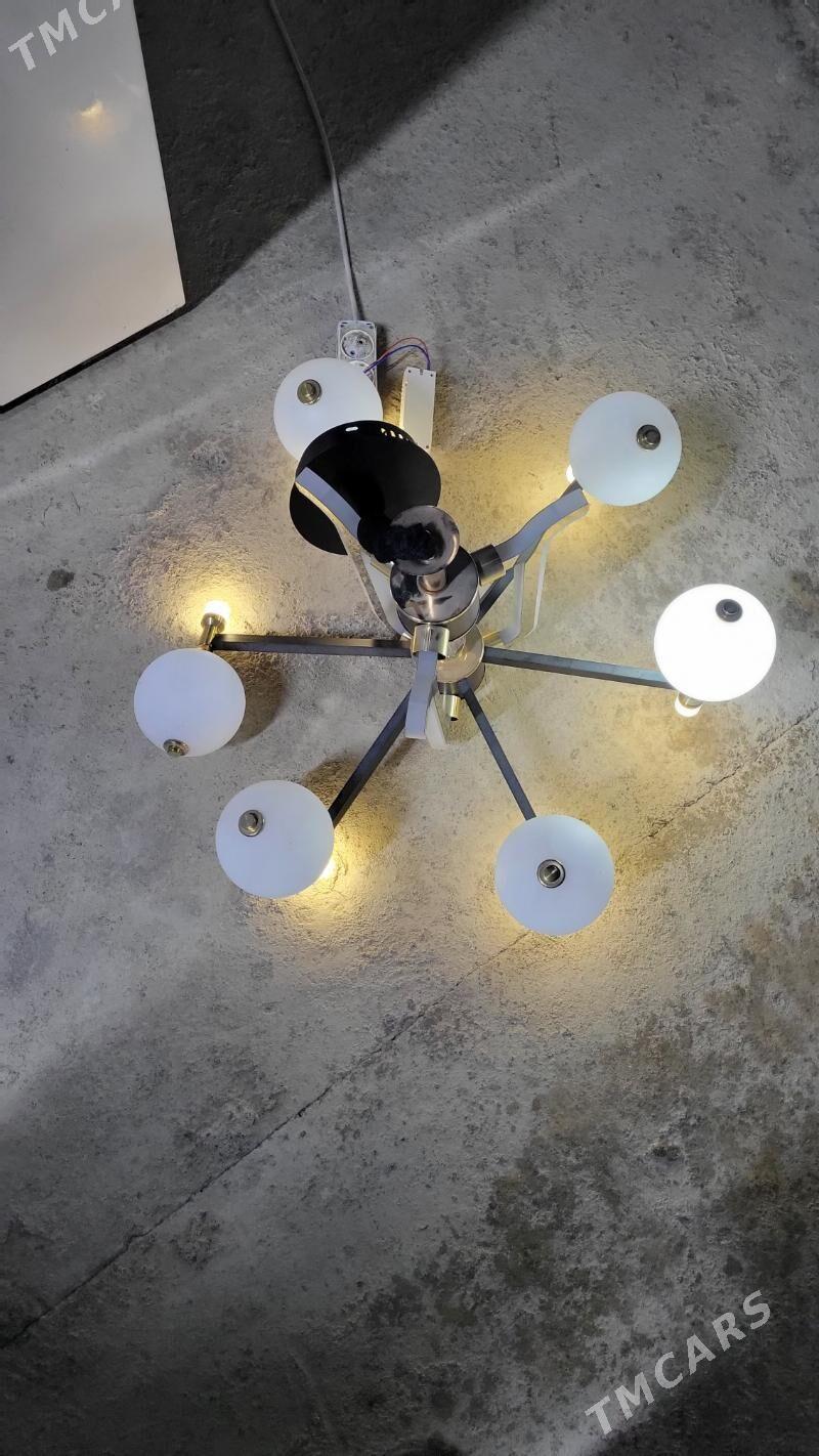 Lyustralar - Багир - img 4