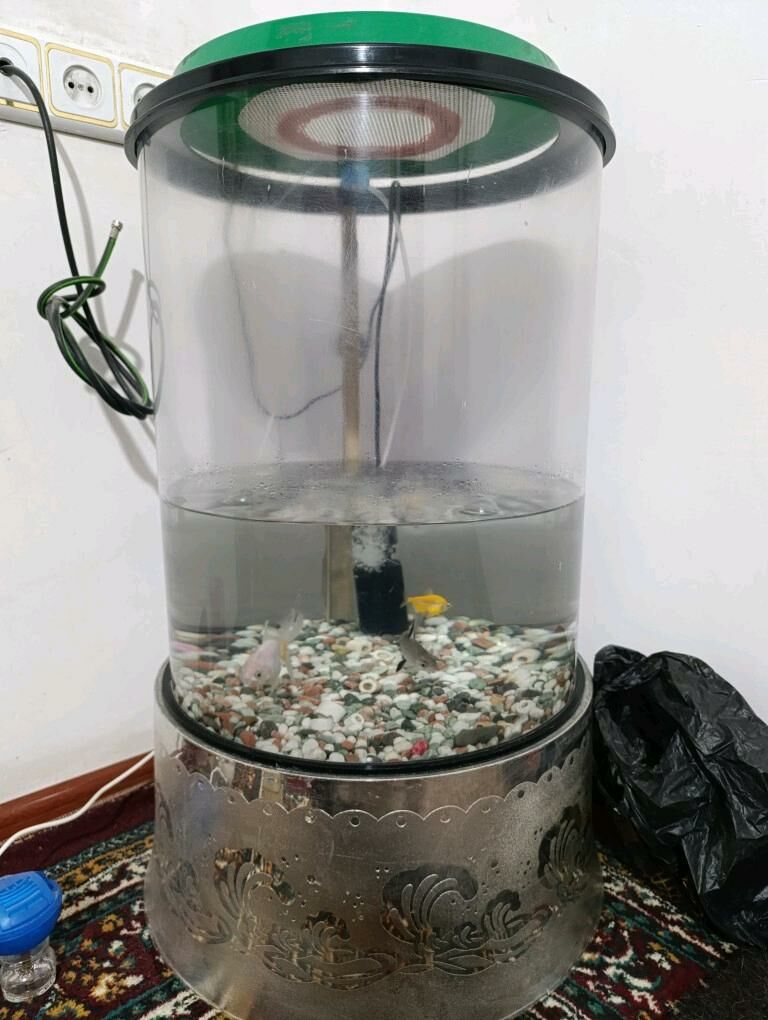 Akwaryum - Büzmeýin GRES - img 4