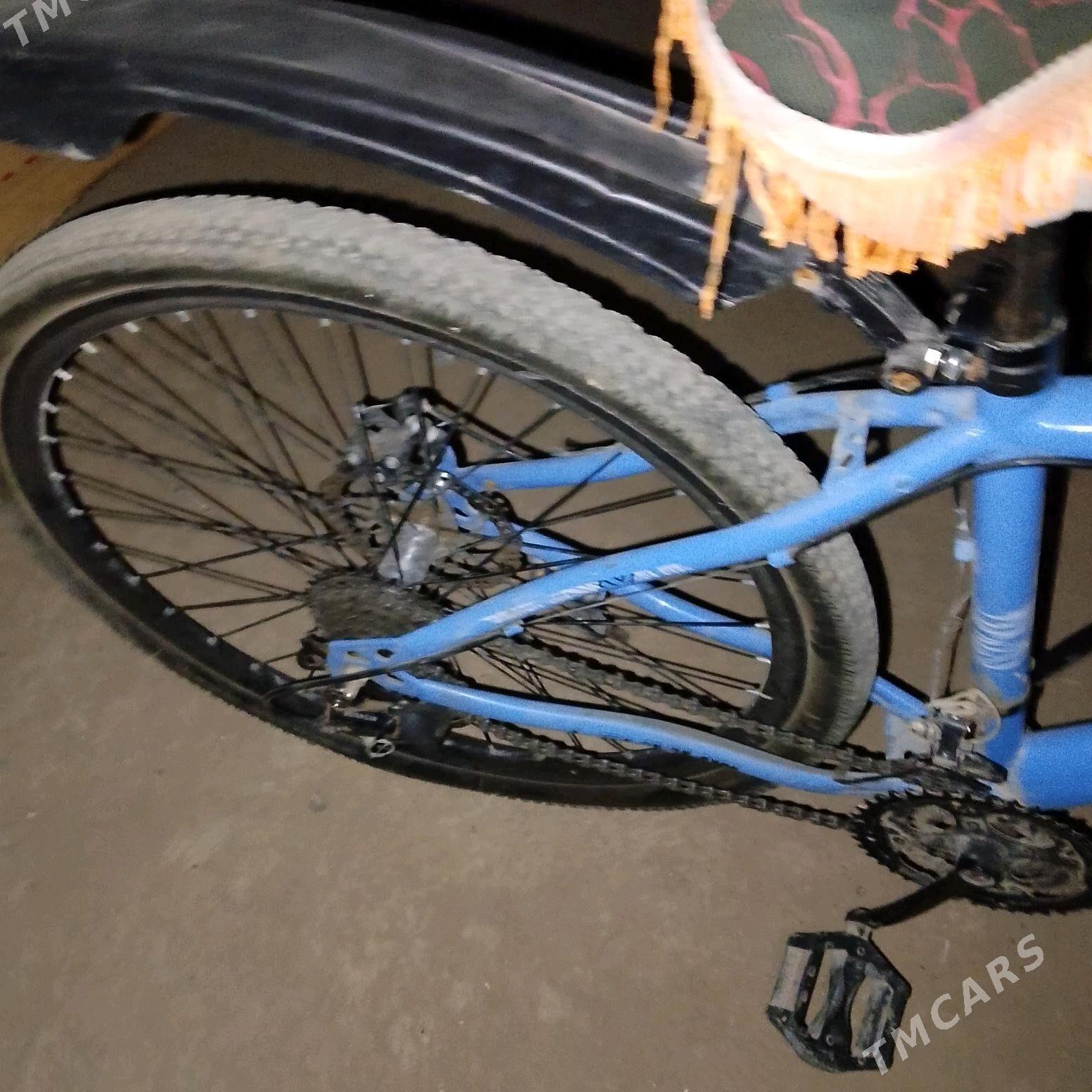 SPORT WELİK - Мары - img 4