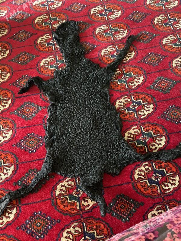 bagana - Aşgabat - img 2