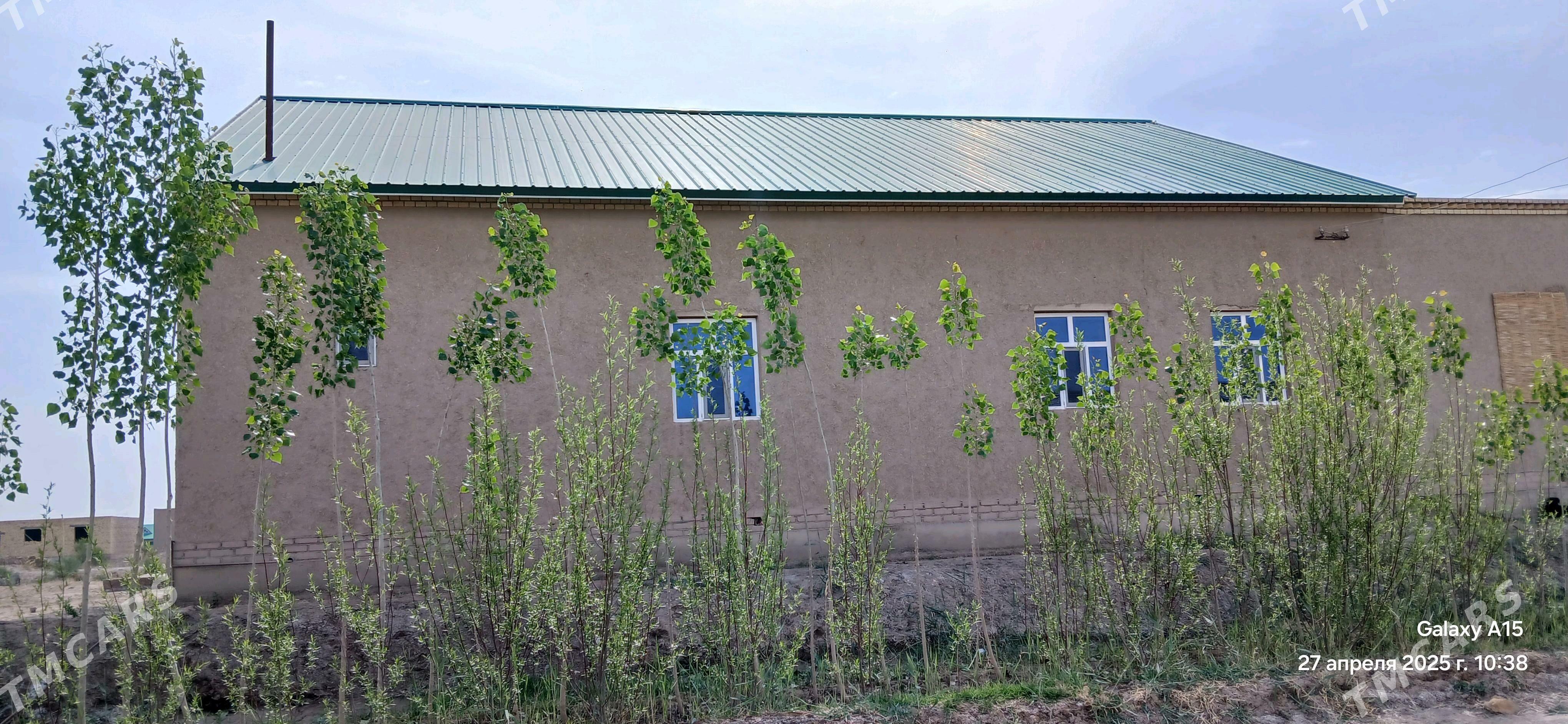 satlyk plan jay - Köneürgenç - img 5