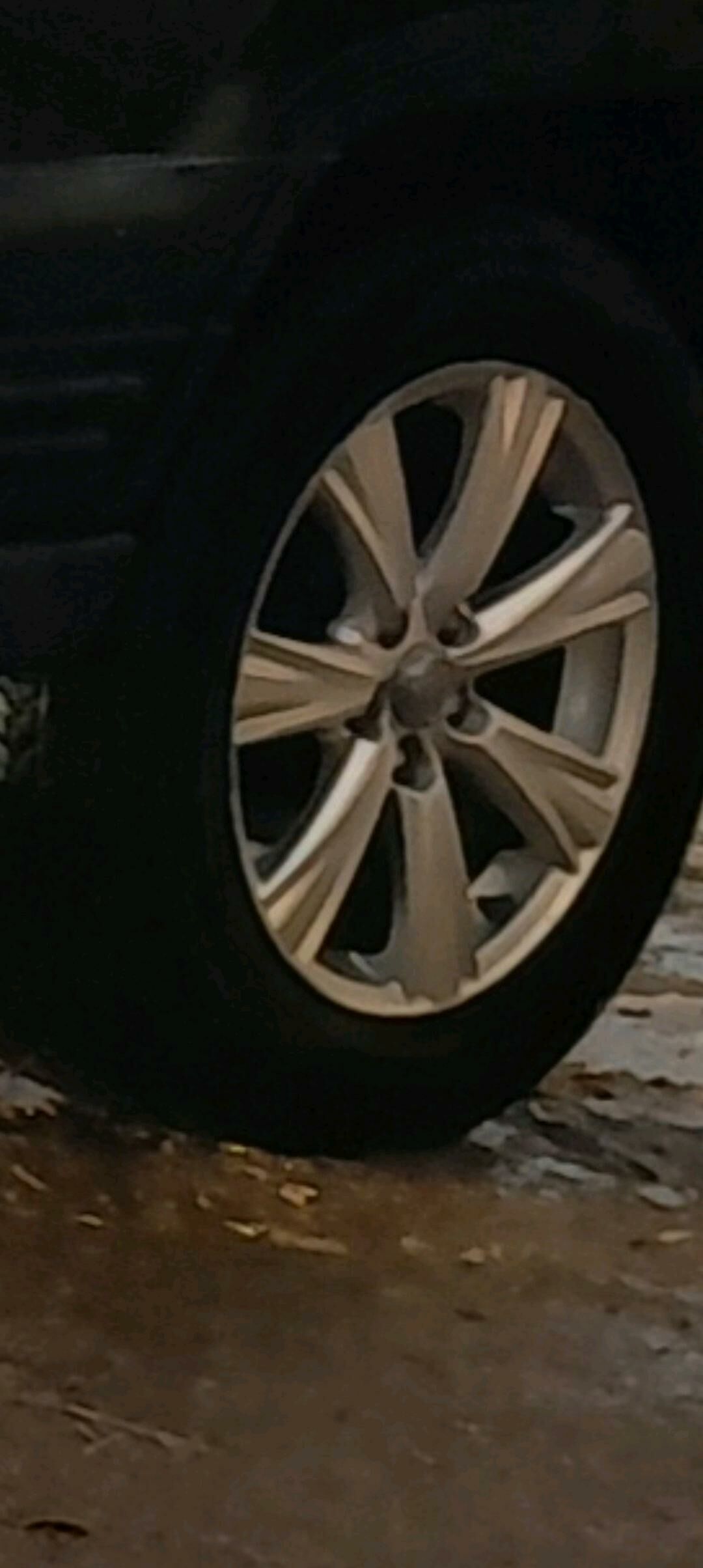 Disga pakeişka goyder 3 000 TMT - Daşoguz - img 2