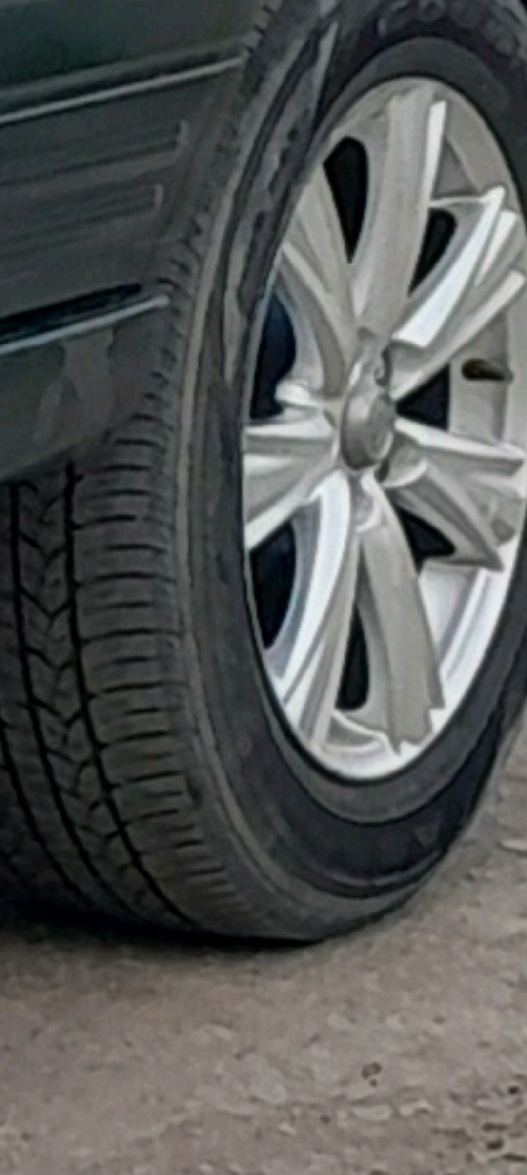 Disga pakeişka goyder 3 000 TMT - Daşoguz - img 5