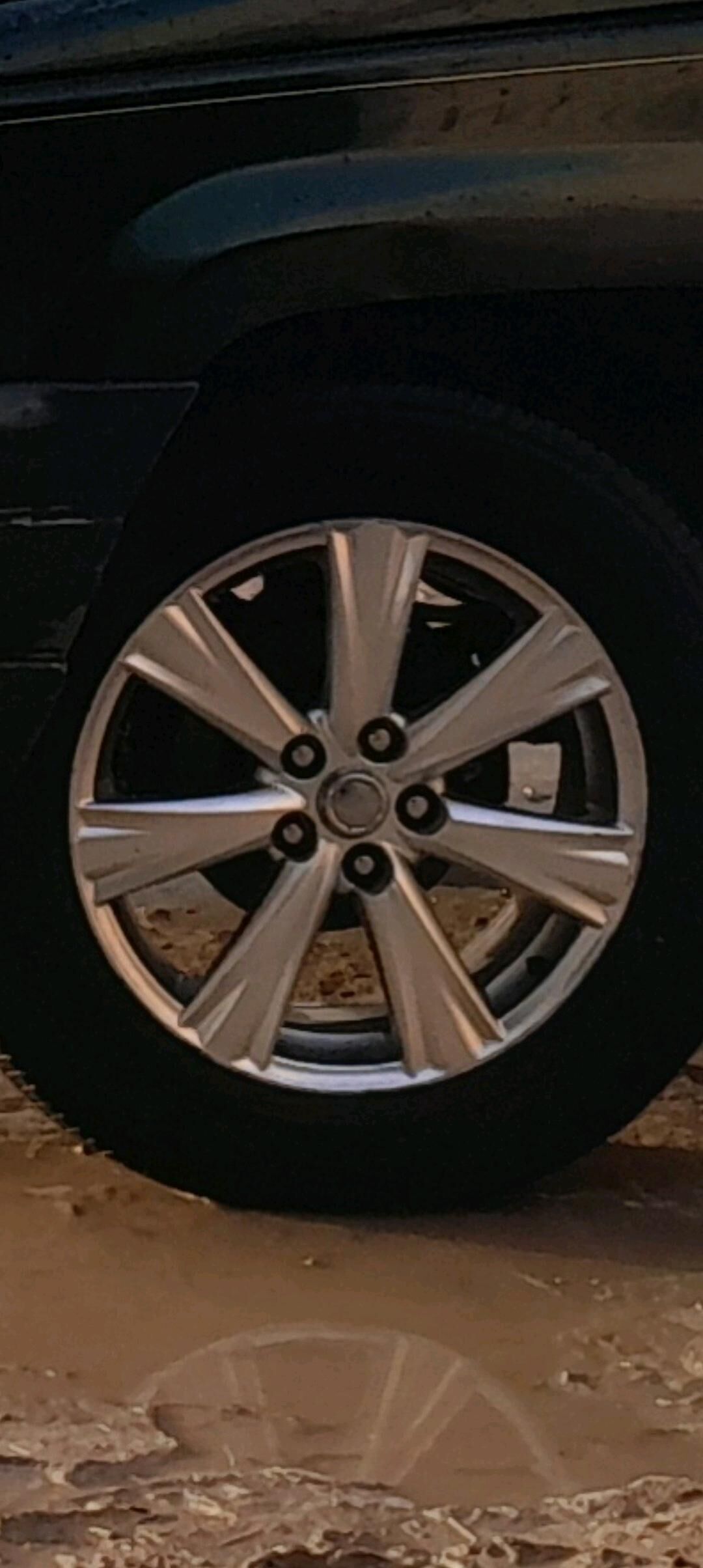 Disga pakeişka goyder 3 000 TMT - Daşoguz - img 4