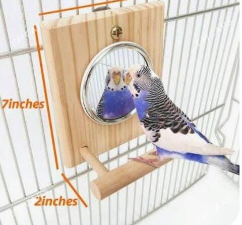 попугай гушлар сетклар - Ашхабад - img 3