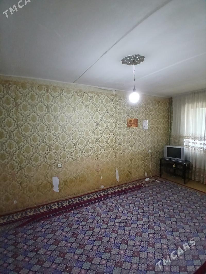 Şatlyk ruminskiy jaylar - Şatlyk - img 2