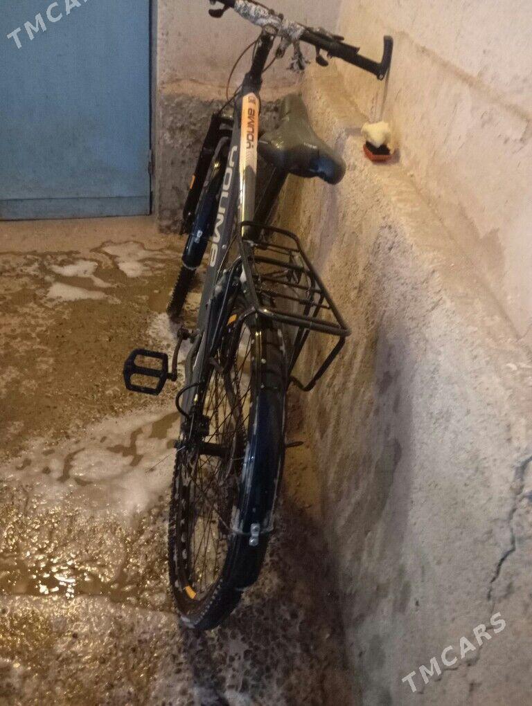 tigir - Tejen - img 1