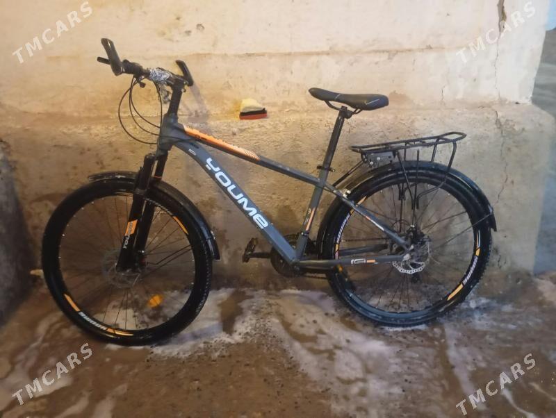 tigir - Tejen - img 3