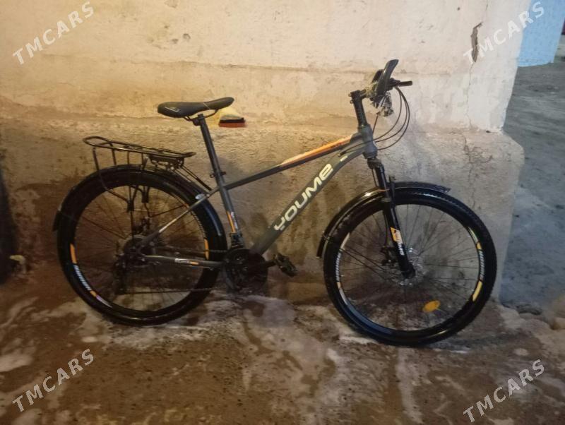 tigir - Tejen - img 2