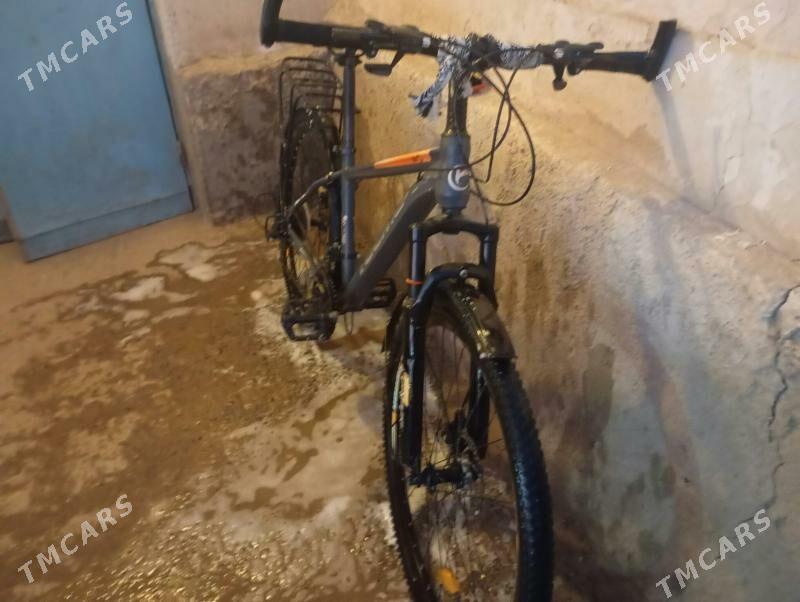 tigir - Tejen - img 4