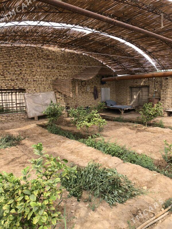 teplissa - Mary - img 7