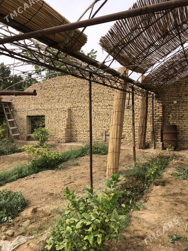 teplissa - Mary - img 5