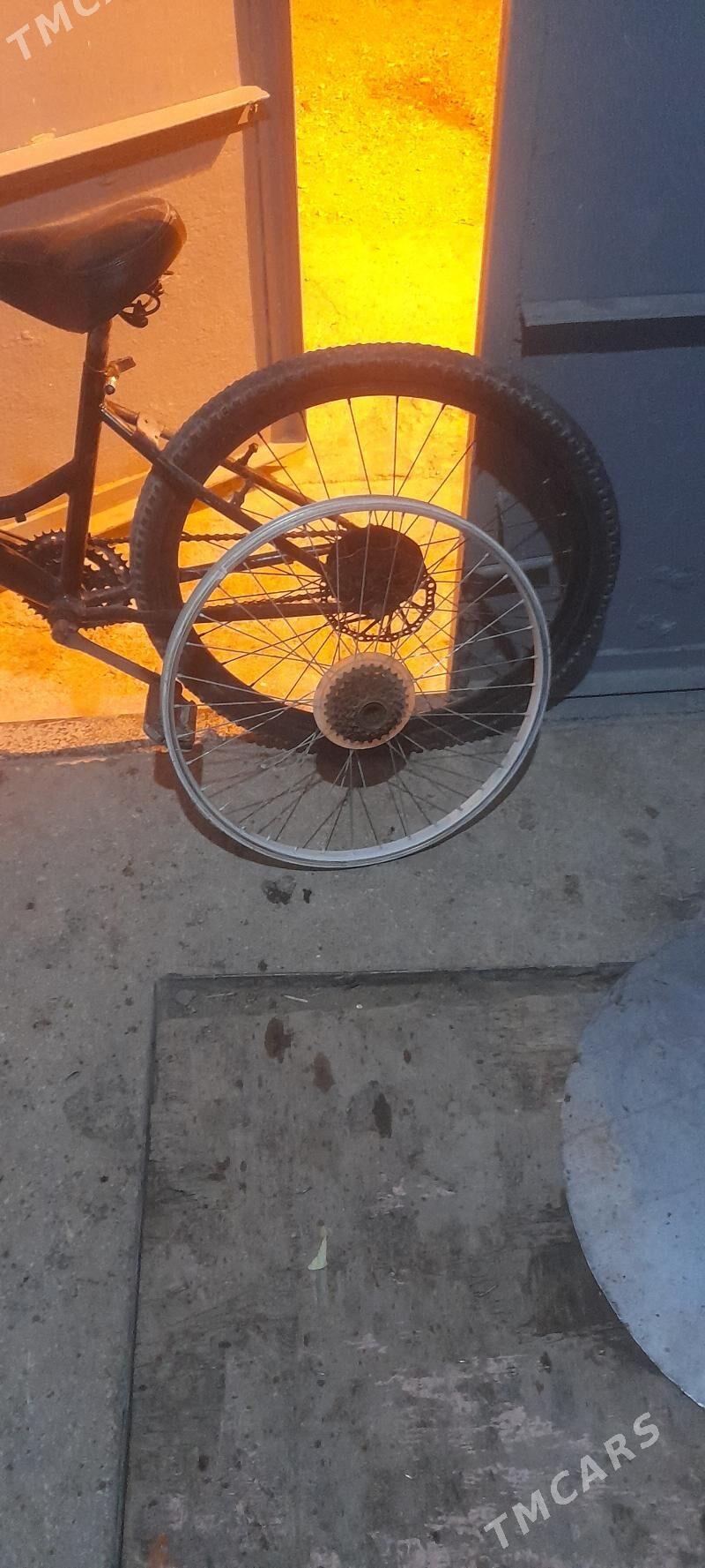 tigir - Balkanabat - img 3